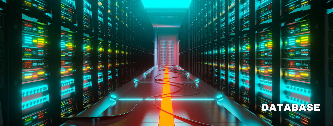 database management services