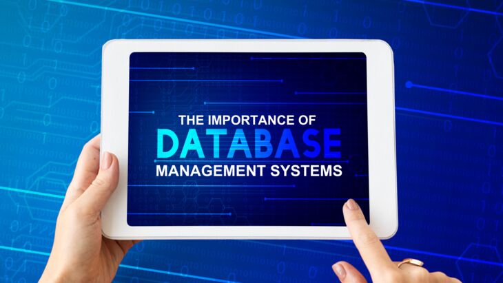 The_Importance_of__Database_.png